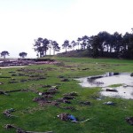 Imagen de los daños en Golf La Toja